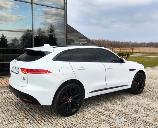 Jaguar F-Pace cena 139000 przebieg: 114000, rok produkcji 2017 z Staszów małe 781